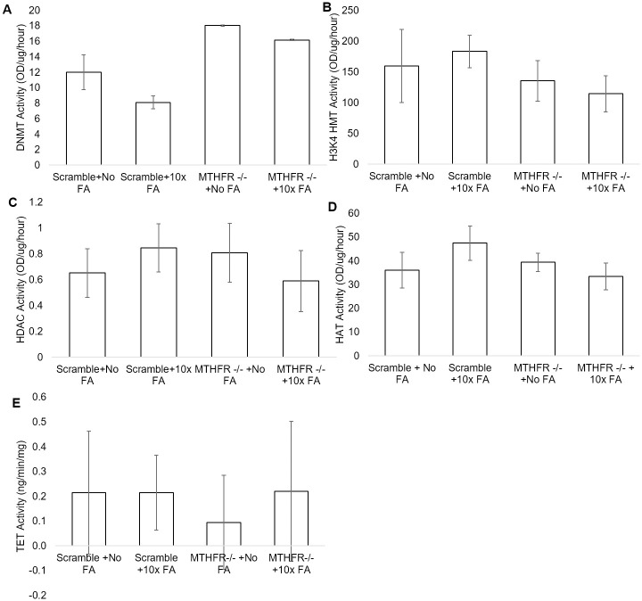 Enzymatic Activity